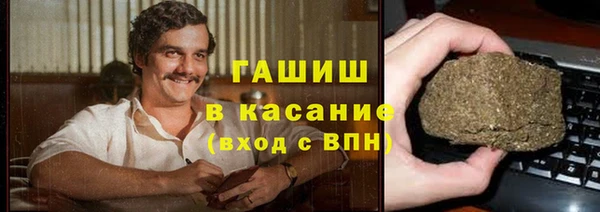 гидра Абаза