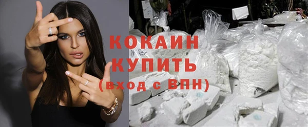 гидра Абаза