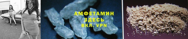гидра Абаза
