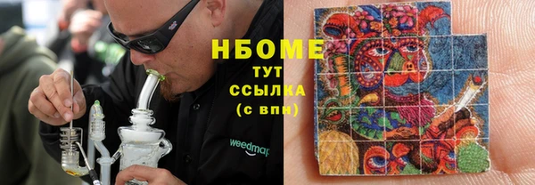 гидра Абаза