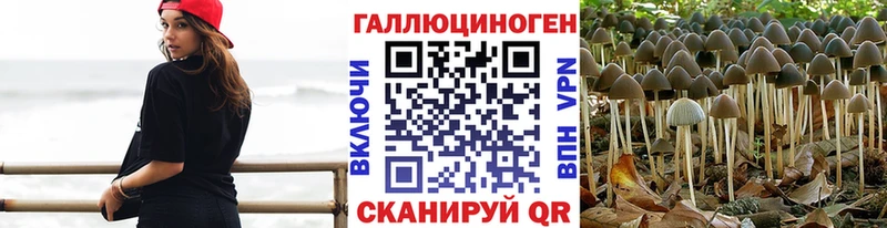 Псилоцибиновые грибы ЛСД  купить   Котлас 